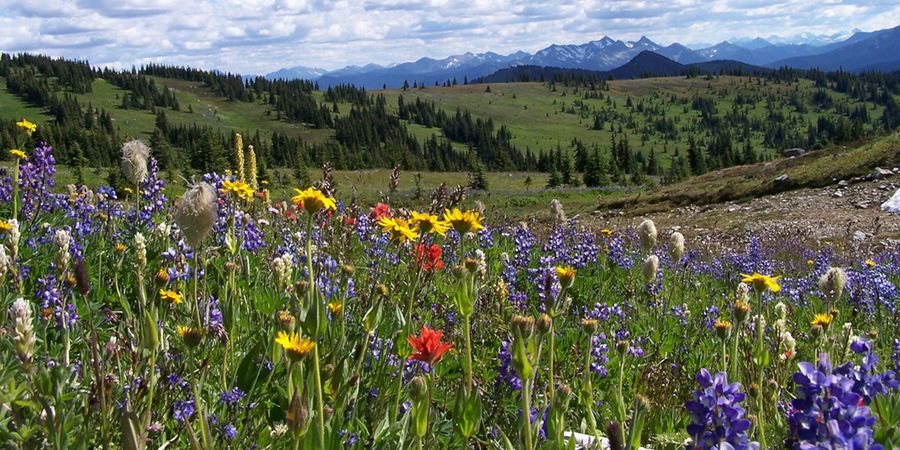 Manning Park Resort